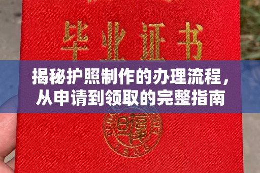 西工揭秘护照制作的办理流程，从申请到领取的完整指南